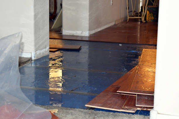 Professional Storm Water Damage Restoration technician working in Cushing, ME
